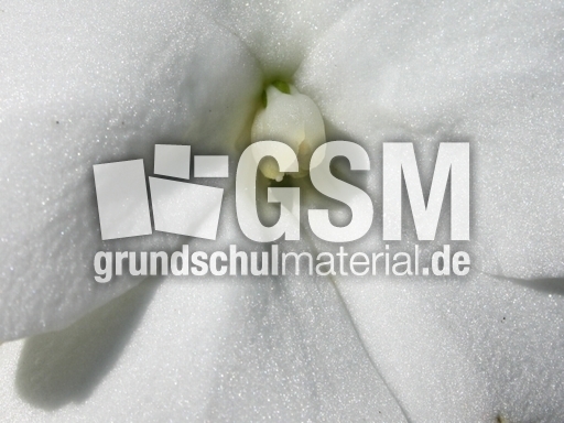 C-Hintergrund 020.jpg